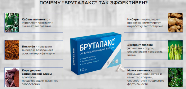 Бруталакс для стабильной эрекции
Бруталакс для стабильной эрекции