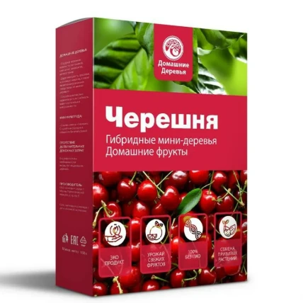 Черешня — набор для выращивания мини-дерева
Черешня — набор для выращивания мини-дерева