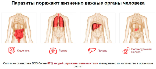 Гельмифлор — новый противоглистный препарат
Гельмифлор — новый противоглистный препарат