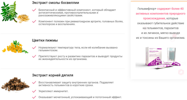 Гельмифлор — новый противоглистный препарат
Гельмифлор — новый противоглистный препарат