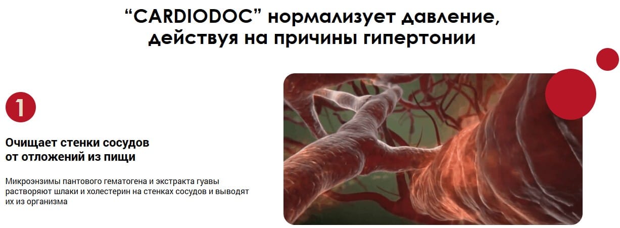 Cardiodoc: Комплексная Поддержка Сердца и Сосудов – Детальный Обзор — Фото 5