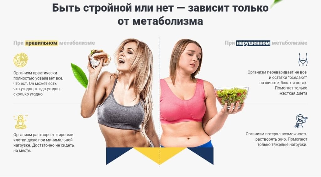 Meta: Комплексный подход к поддержке метаболизма и контролю веса — Фото 4