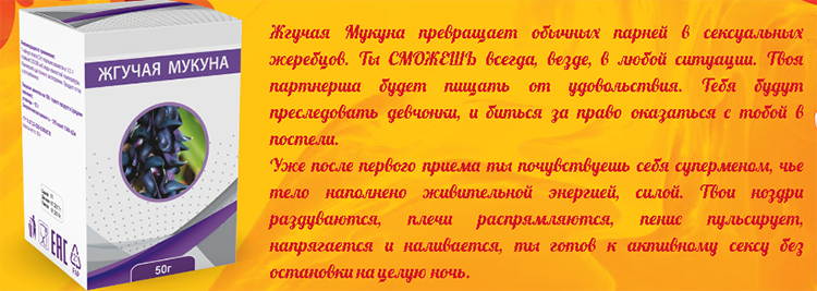 Жгучая Мукуна: Натуральный Подход к Мужскому Здоровью и Потенции – Полный Обзор — Фото 2