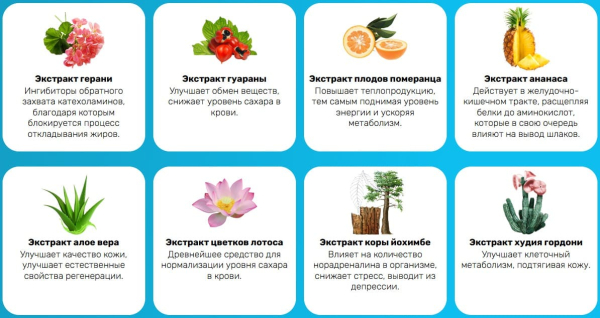Liporeduct Meridian (Липоредукт Меридиан) для похудения
Liporeduct Meridian (Липоредукт Меридиан) для похудения
