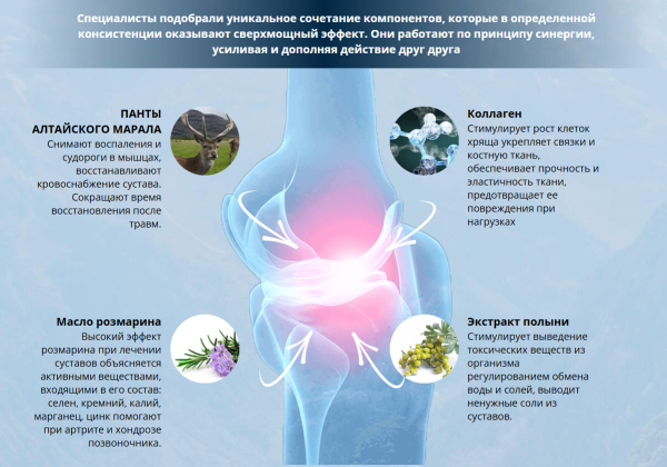 Rapid relief (Рапид Рельеф) — средство для суставов
Rapid relief (Рапид Рельеф) — средство для суставов