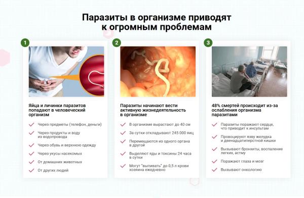 Паразолис — капсулы от паразитов в России
Паразолис — капсулы от паразитов в России